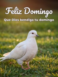Feliz domingo Dios te bendiga para celular