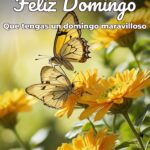 feliz domingo que tengas un domingo maravilloso