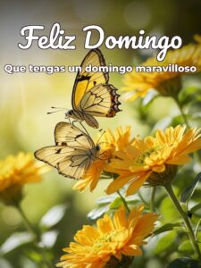 Feliz domingo flores para celular