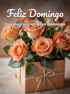 Feliz domingo mi amor frases para WhatsApp