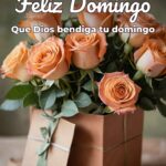 feliz domingo que dios bendiga tu domingo