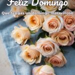 feliz domingo que tengas un domingo maravilloso