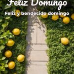 feliz domingo feliz y bendecido domingo