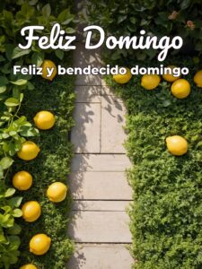 Feliz domingo para todos frases para WhatsApp