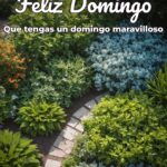 feliz domingo que tengas un domingo maravilloso