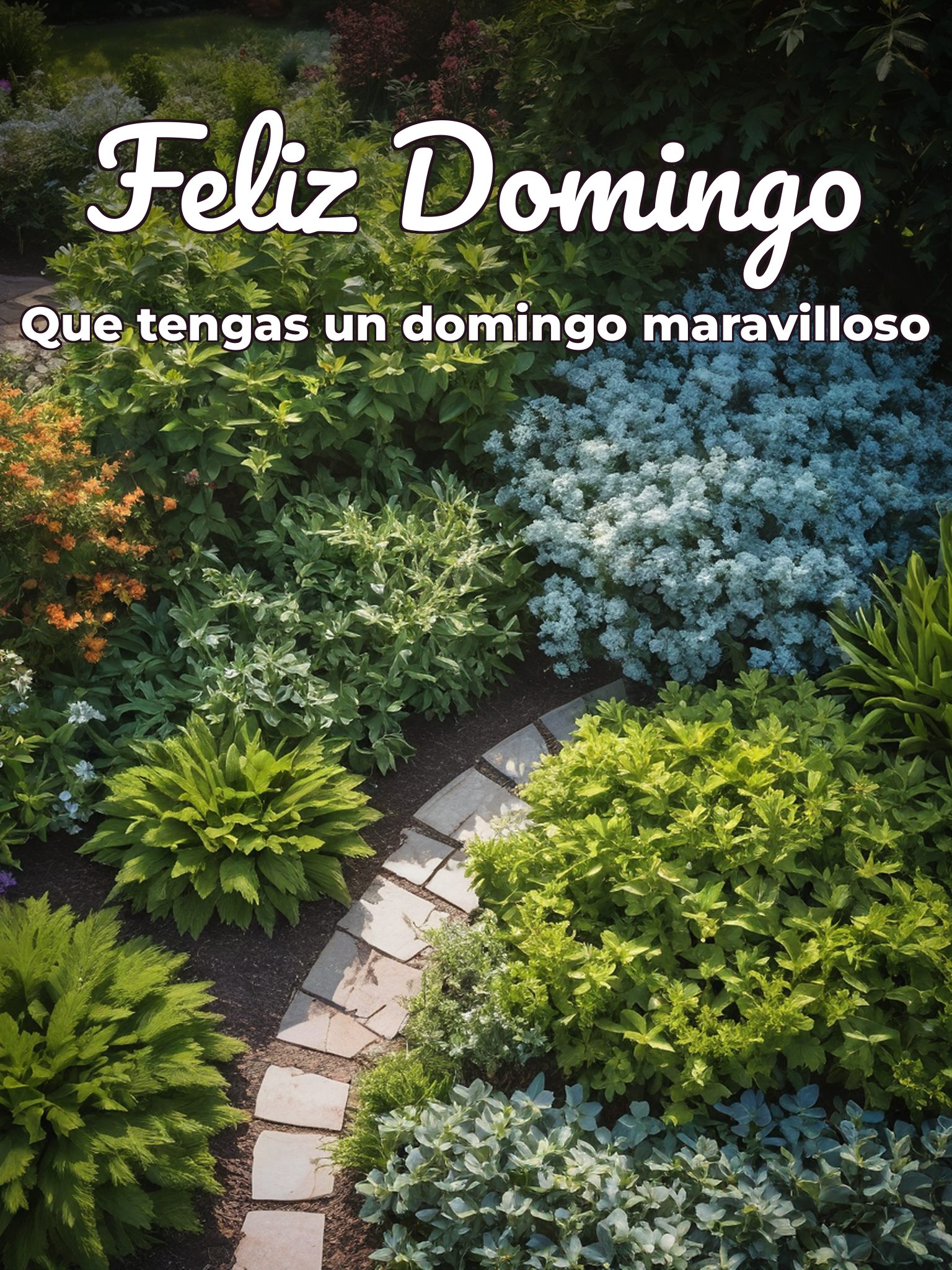 Feliz domingo para todos para WhatsApp