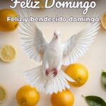 feliz domingo feliz y bendecido domingo