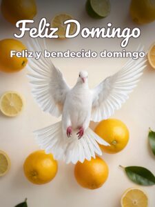 Feliz domingo que Dios los bendiga para celular