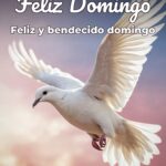 feliz domingo feliz y bendecido domingo