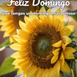 feliz domingo que tengas un domingo maravilloso