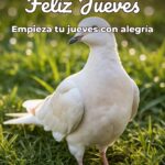 feliz jueves empieza tu jueves con alegría