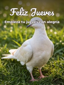 Feliz jueves bendiciones