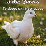feliz jueves te deseo un lindo jueves