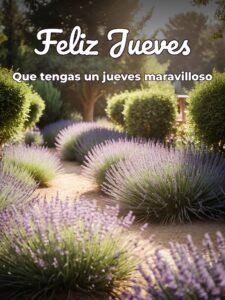 Feliz jueves frases