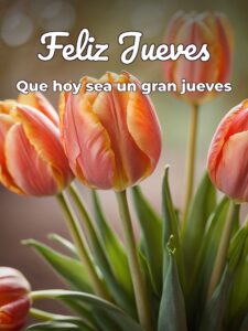 Feliz jueves frases bonitas para WhatsApp