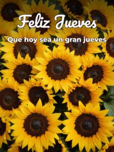 Feliz jueves mi vida para celular descargar