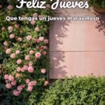 feliz jueves que tengas un jueves maravilloso