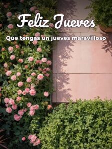 Feliz jueves mi vida para WhatsApp