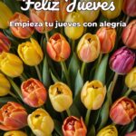 feliz jueves empieza tu jueves con alegría