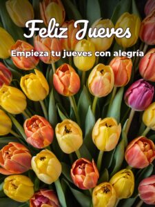 Feliz jueves tarjetas