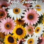 feliz jueves que tengas un jueves maravilloso