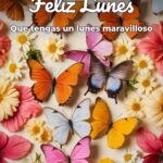 feliz lunes que tengas un lunes maravilloso