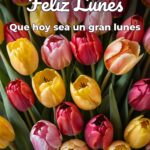 feliz lunes que hoy sea un gran lunes
