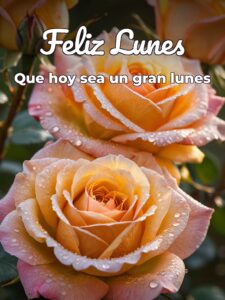 Feliz lunes amiga para Facebook gratis