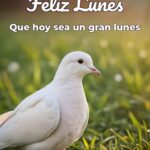 feliz lunes que hoy sea un gran lunes
