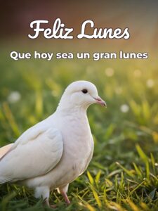 Feliz lunes bendiciones para Facebook gratis