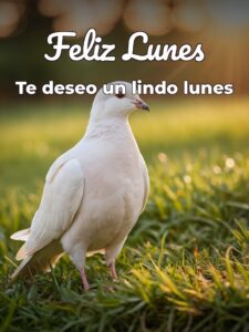 Feliz lunes bendiciones para WhatsApp gratis para celular