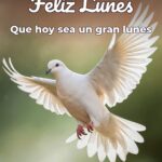 feliz lunes que hoy sea un gran lunes