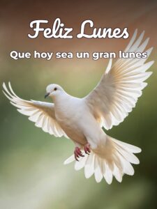 Feliz lunes con bendiciones