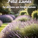 feliz lunes te deseo un lindo lunes