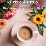 feliz lunes que tengas un lunes maravilloso