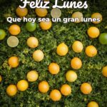 feliz lunes que hoy sea un gran lunes