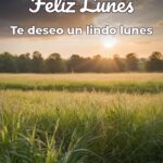feliz lunes te deseo un lindo lunes