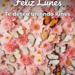feliz lunes te deseo un lindo lunes