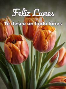 Feliz lunes rosas para Facebook gratis