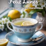 feliz lunes que tengas un lunes maravilloso
