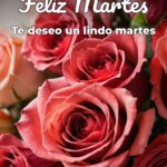 feliz martes te deseo un lindo martes