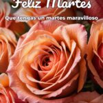 feliz martes que tengas un martes maravilloso