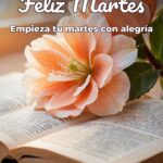 feliz martes empieza tu martes con alegría