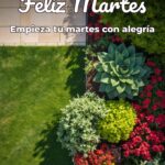 feliz martes empieza tu martes con alegría