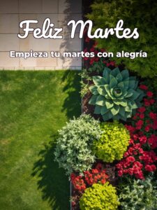 Feliz martes buenos días para descargar gratis para celular