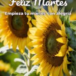 feliz martes empieza tu martes con alegría
