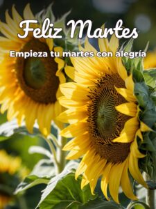 Feliz martes catolico para WhatsApp gratis para celular