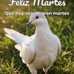 feliz martes que hoy sea un gran martes