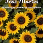 feliz martes que tengas un martes maravilloso