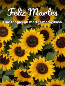 Feliz martes con flores para celular